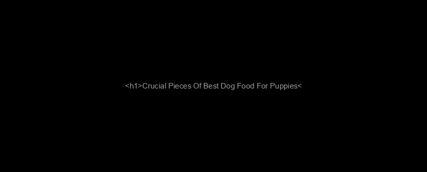<h1>Crucial Pieces Of Best Dog Food For Puppies</h1>